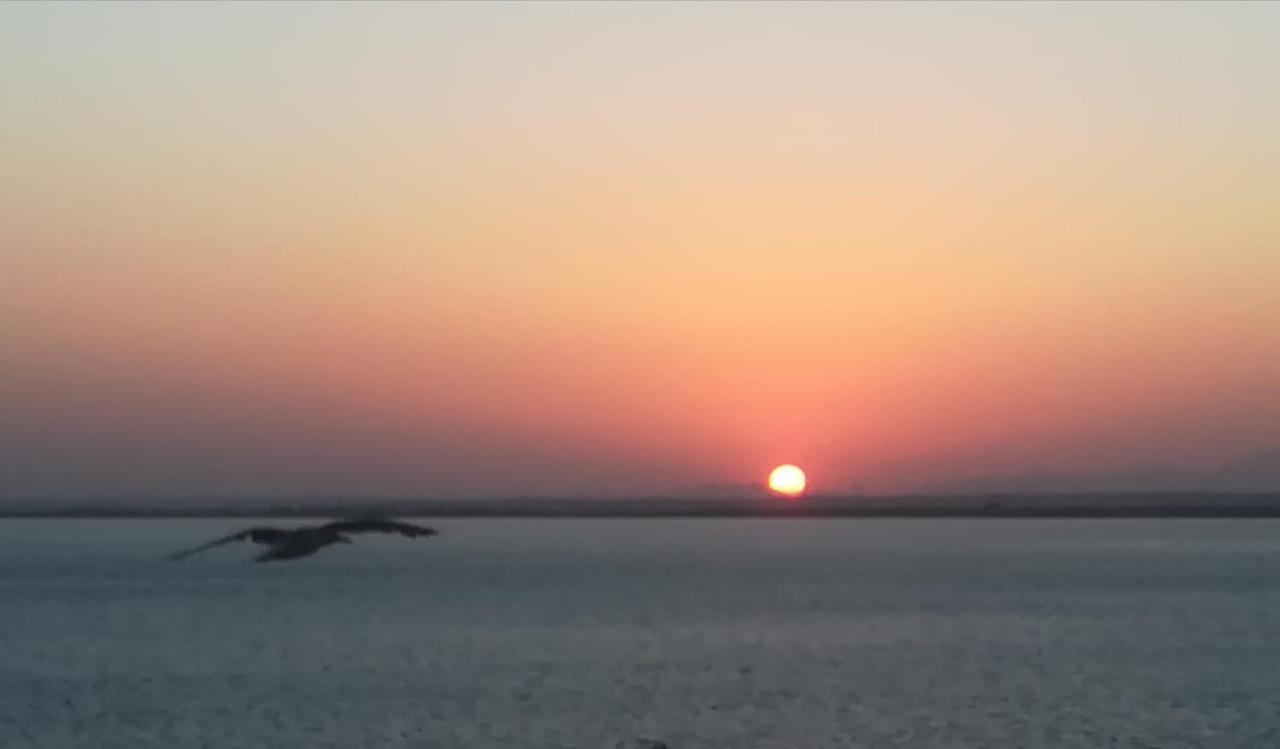 Apartamento Fenicia Con Aparcamiento Incluido Vistas Al Mar カディス エクステリア 写真